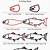 how to draw a salmon step by step