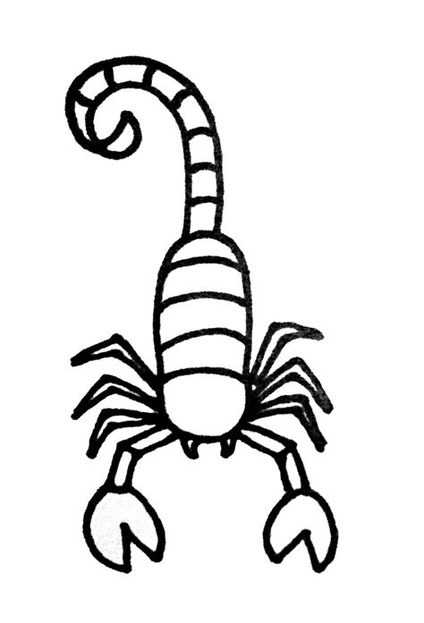 How to Draw a Scorpion for Kids How to Draw Easy