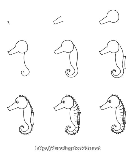 12 Easy Seahorse Drawings Step by Step 2020 Colorful