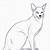 how to draw a siamese cat step by step