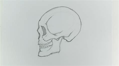 Realistic Skull Drawing at Explore