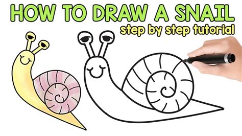 How to Draw a Snail Really Easy Drawing Tutoria