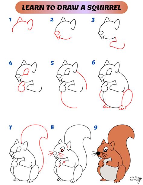 How to Draw a Squirrel Holding a Nut Easy Step by Step for