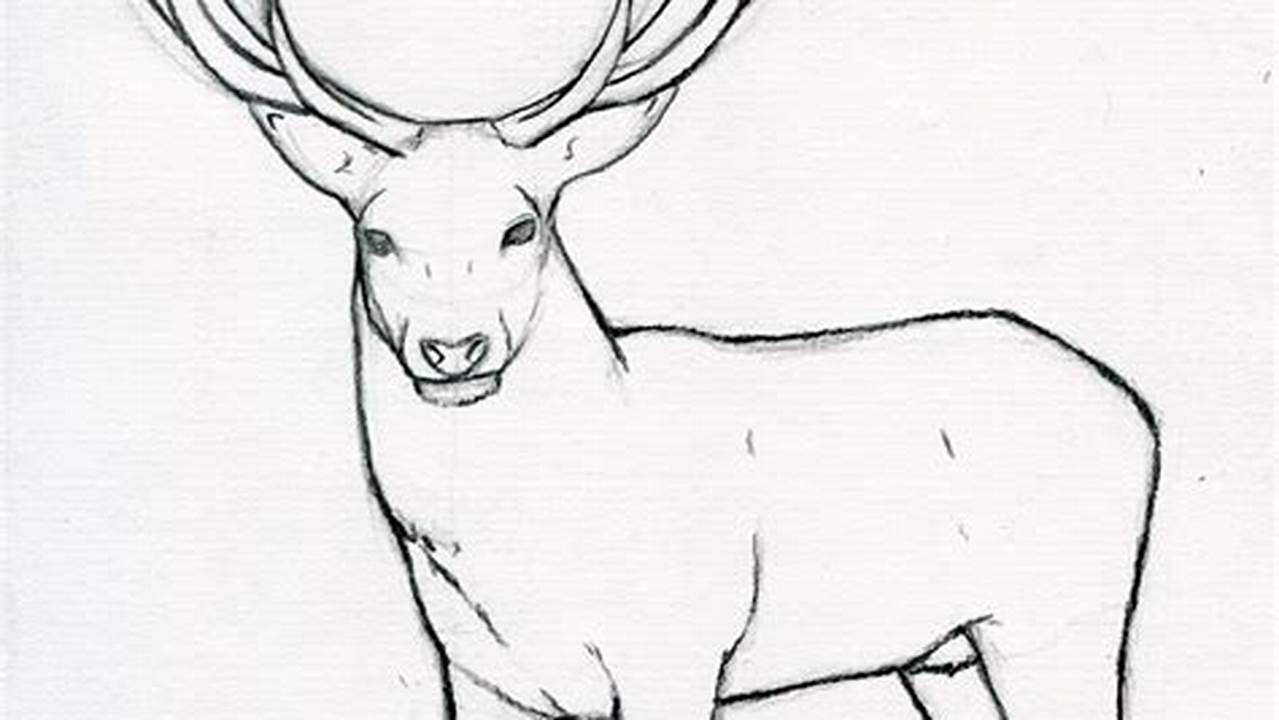 Unlock the Secrets of Stag Drawing: A Step-by-Step Guide