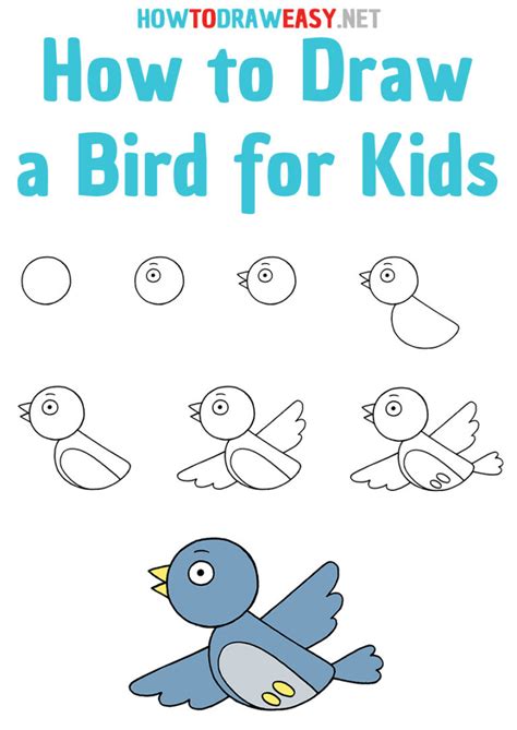 How to Draw a Robin Bird Step by Step Cute Easy Drawings