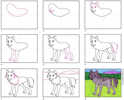 How To Draw A Wolf Head Step By Step For Beginners Learn