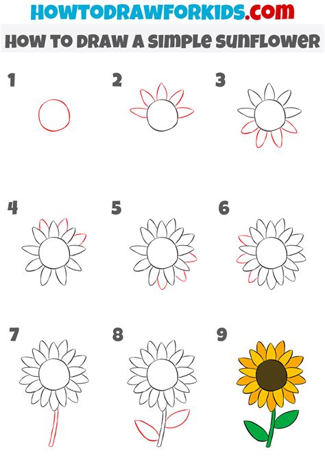 Drawing a sunflower Sunflower drawing, Flower drawing