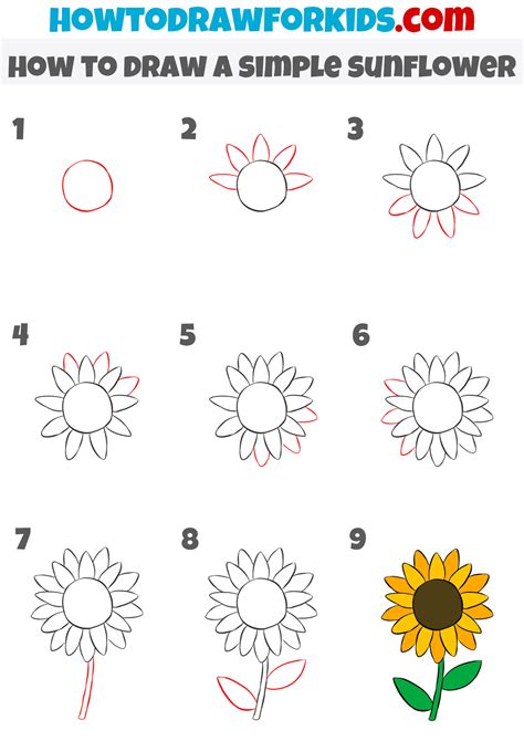 How to Draw a Sunflower Easy Step by Step Drawing Guides