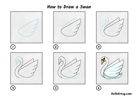 How to Draw a White Swan Step by Step Cute Easy Drawings