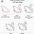 how to draw a swan step by step