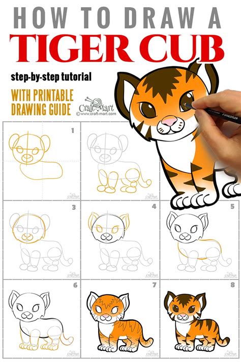 How to Draw a Baby Tiger Really Easy Drawing Tutorial
