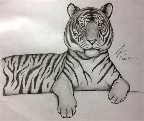 Drawing 3D Tiger How to Draw a Tiger Trick Art on