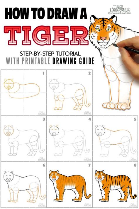 How To Draw a Tiger easy, with a pencil, for beginners