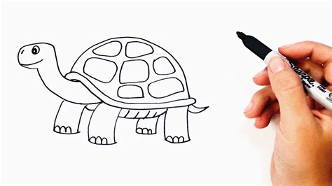 How to Draw Tortoise Easy Learn Drawing a Tortoise Step by