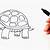 how to draw a tortoise step by step