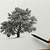 how to draw a tree with charcoal