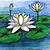 how to draw a water lily