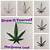 how to draw a weed plant step by step