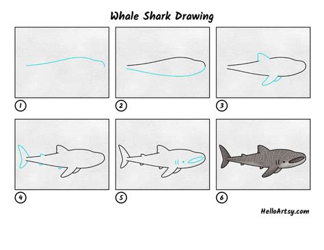 How to Draw a Silver Shark