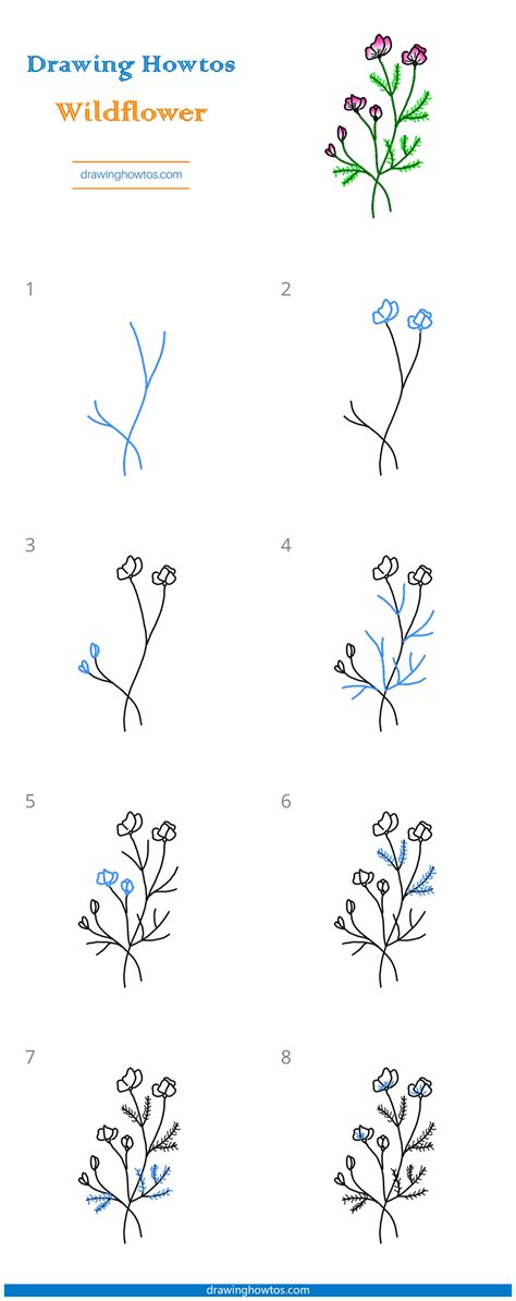 How to draw a simple flower step by step with pencil 18
