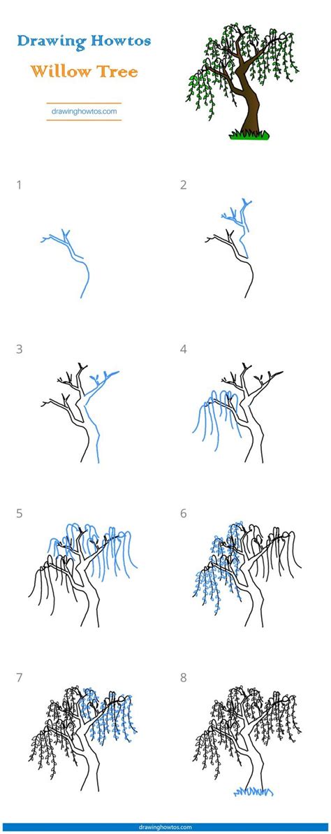 How To Draw A Willow Tree, Weeping Willow, Step by Step