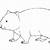 how to draw a wombat step by step