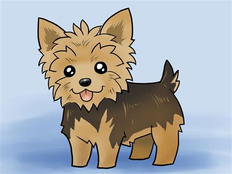 Learn How to Draw a Yorkie Dog (Dogs) Step by Step