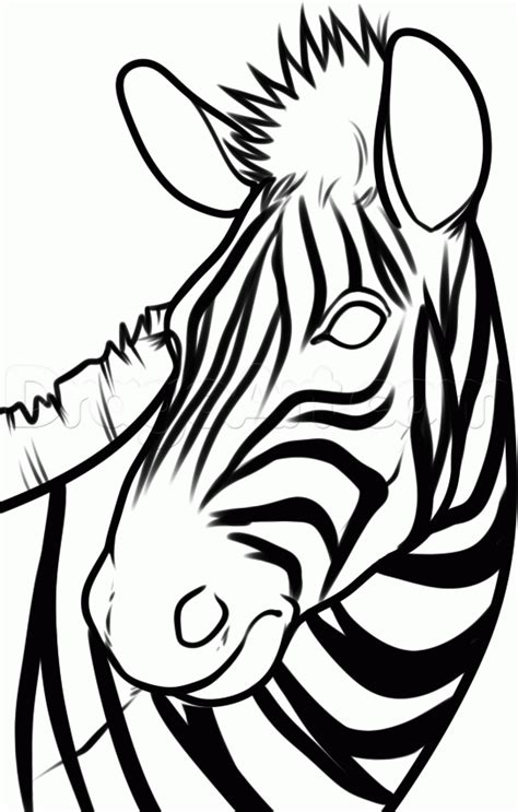 How to Draw a Chibi Zebra