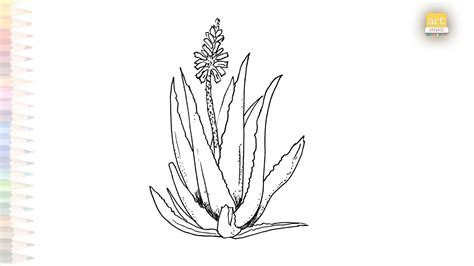 How to draw a cute aloe Vera plant...very easy for