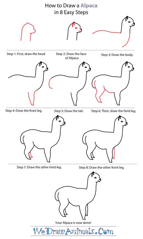 How to draw an Alpaca Step by step for kids,super