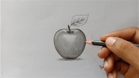 Drawn apple smooth shading Pencil and in color drawn