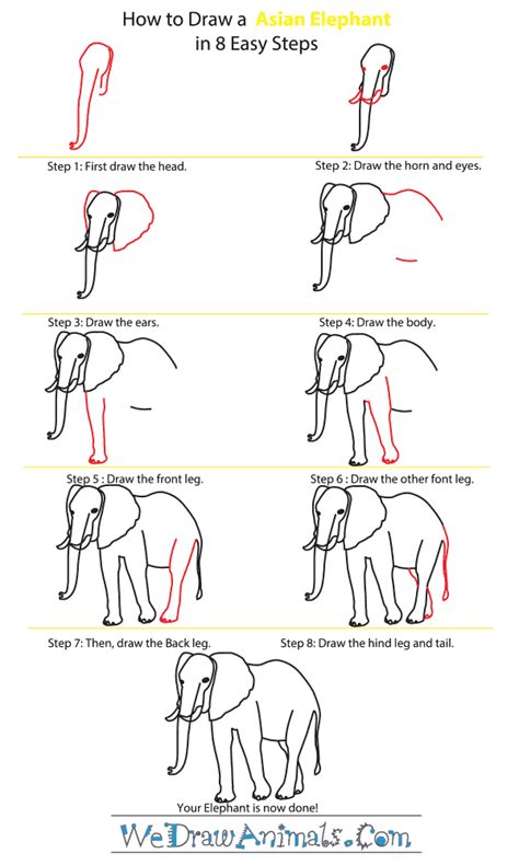 Wildlife Sketches Elephant drawing, Baby animal drawings