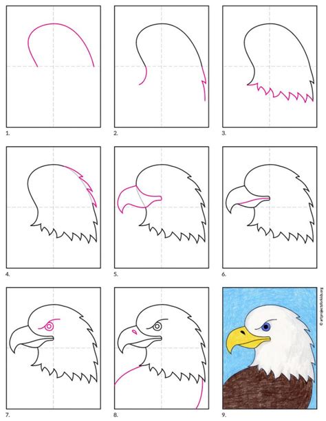 How to draw an eagle head step by step easy video tutorial