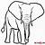 how to draw an elephant front view