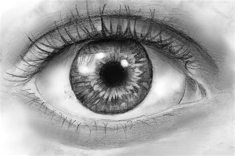 Realistic Eye Pencil Drawing at