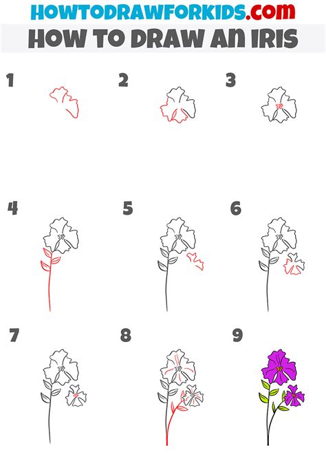 How to draw an Iris flower YouTube