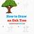 how to draw an oak tree step by step