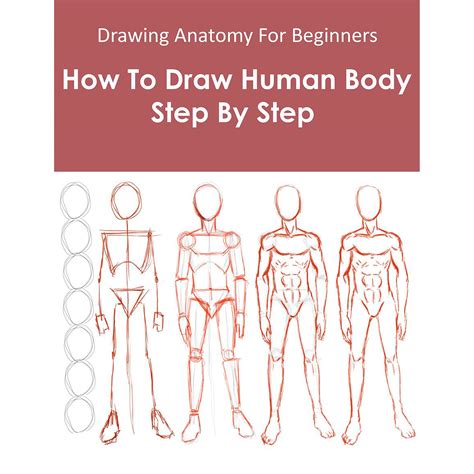 20+ How to Draw Body Shapes Step by Step HARUNMUDAK