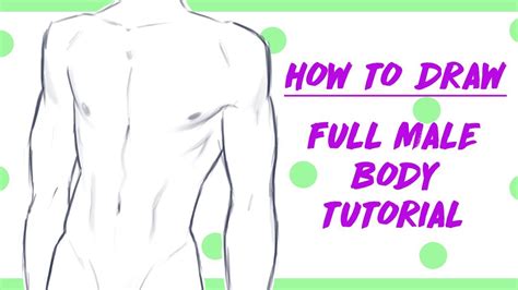 How to Draw Anime Male Body Step By Step Tutorial
