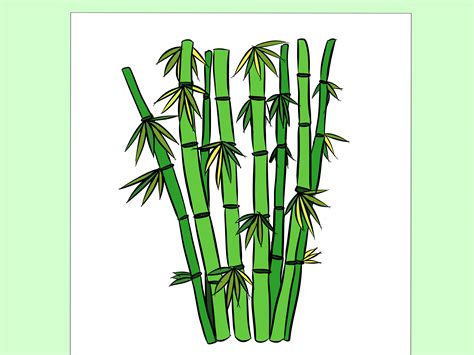 How to Draw Bamboo 8 Steps (with Pictures) wikiHow