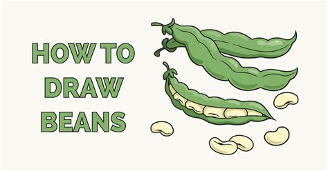 How To Draw a BEANS Step by Step guide For Beginners