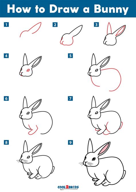Bunny drawing, Easy bunny drawing, Draw animals for kids