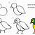 how to draw bird easy step by step