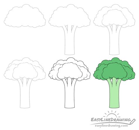 How to Draw a Broccoli Step by Step Posting Sea