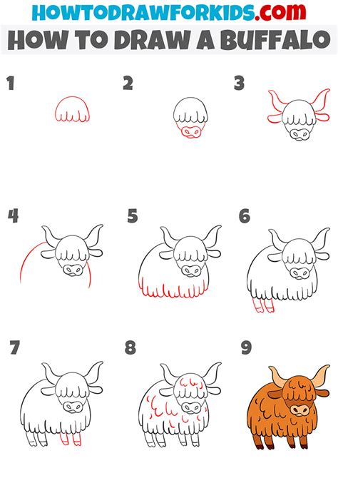 How to Draw a Simple Buffalo for Kids