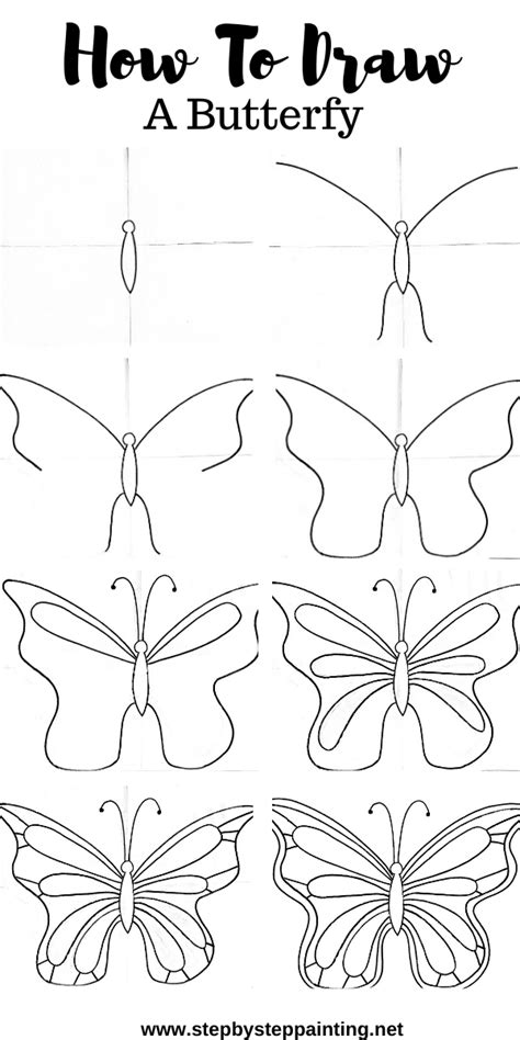 Pretty Butterfly Drawing at Free for personal use