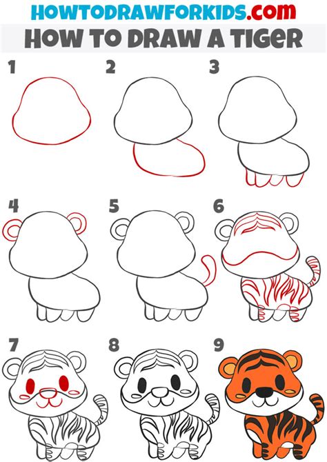 Learn to draw a tiger cub step by step