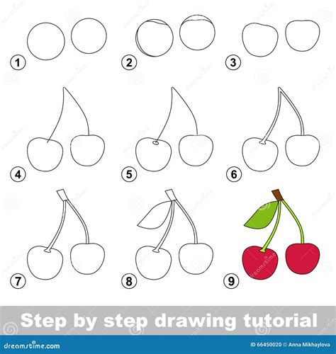 Drawing Tutorial. How To Draw A Cherry Stock Vector