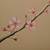 how to draw cherry blossom branches artificial