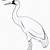 how to draw crane bird